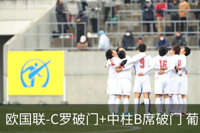 欧国联-C罗破门+中柱B席破门 葡萄牙3-1波兰